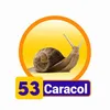 Caracol