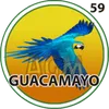 Guacamaya