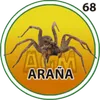 Arana