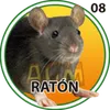 Raton